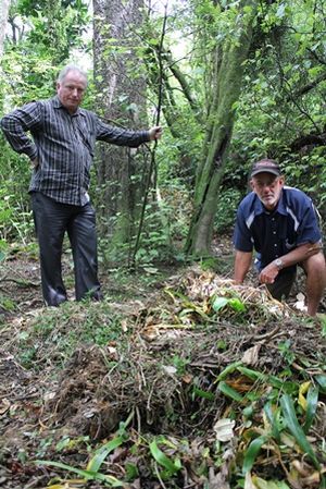 PARKS and Reserves Manager Albert James and Kitchener Park Curator Gavin Scott inspect a pile of green waste dumped off a walkway in Kitchener Park.